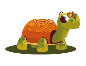 turtle slow